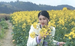 省委书记怒批:修了12车道 车没几辆